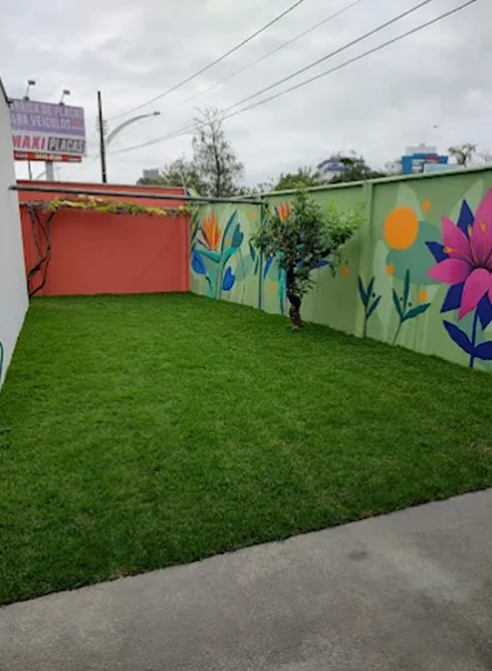 petshop em Joinville 24