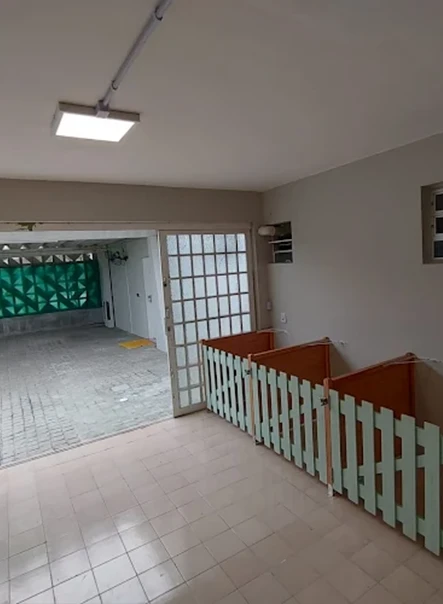 petshop em Joinville 25