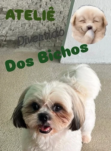 petshop em Joinville 8